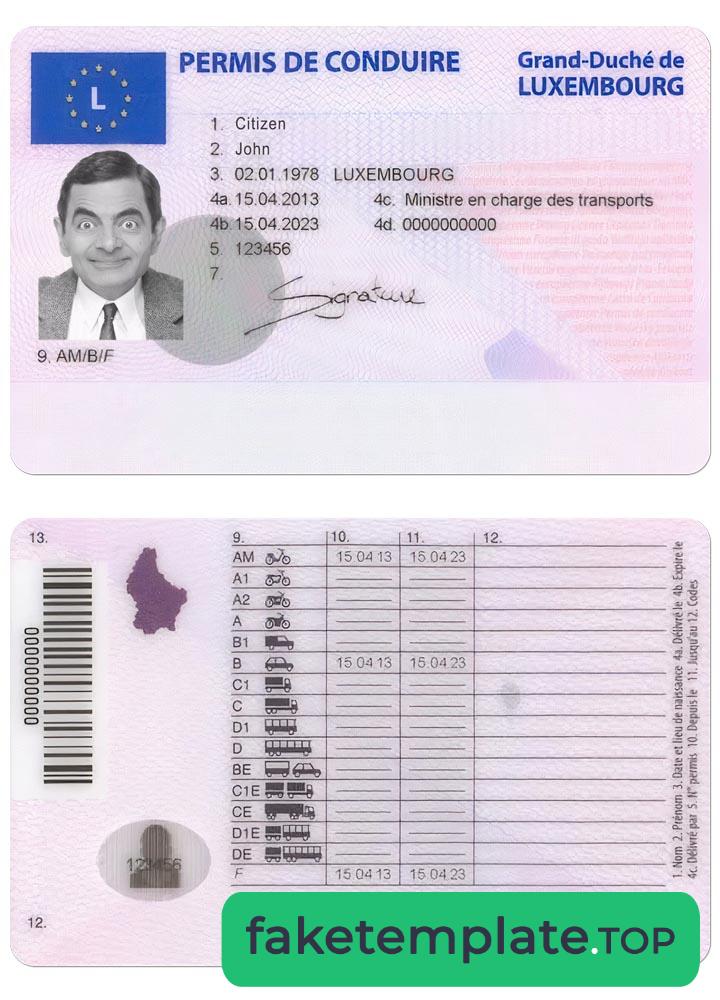 Feature of fake LUXEMBOURG driving license example